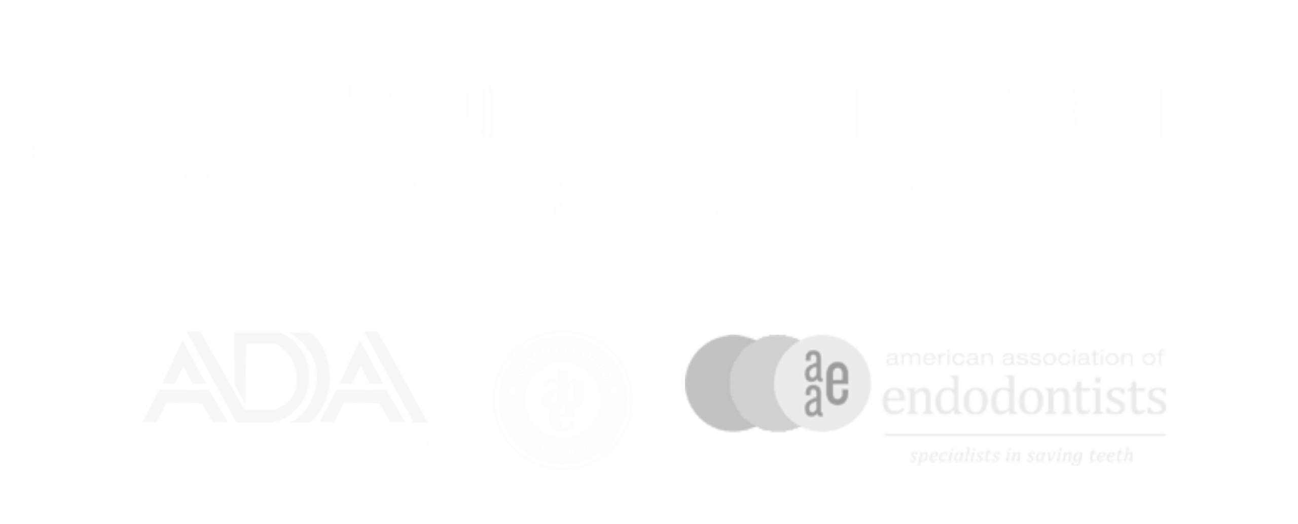 Endo Virginia Footer Logo