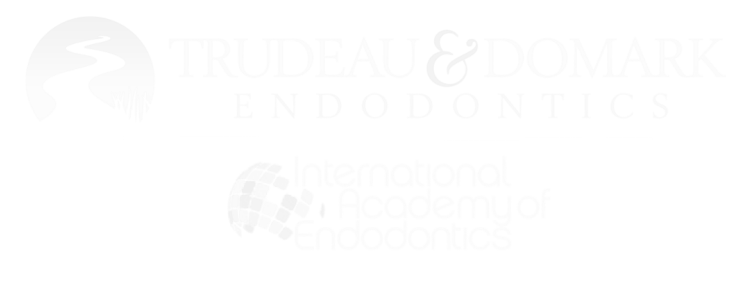 Endo Virginia footer logo in white
